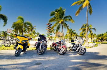 Harlyer på stribe, Key West i Florida, USA